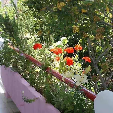 Stam & John Hotel apartamentowy 2*
